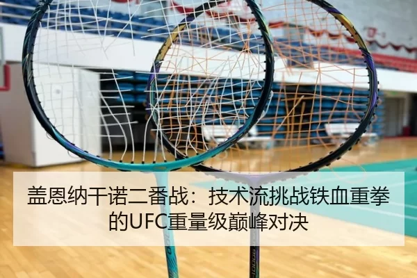 盖恩纳干诺二番战：技术流挑战铁血重拳的UFC重量级巅峰对决