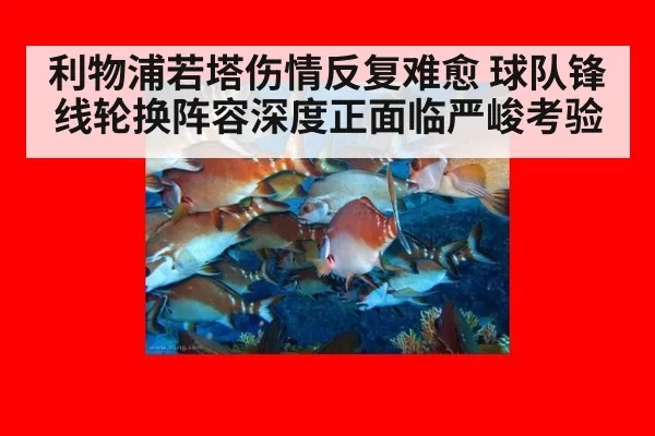 利物浦若塔伤情反复难愈 球队锋线轮换阵容深度正面临严峻考验